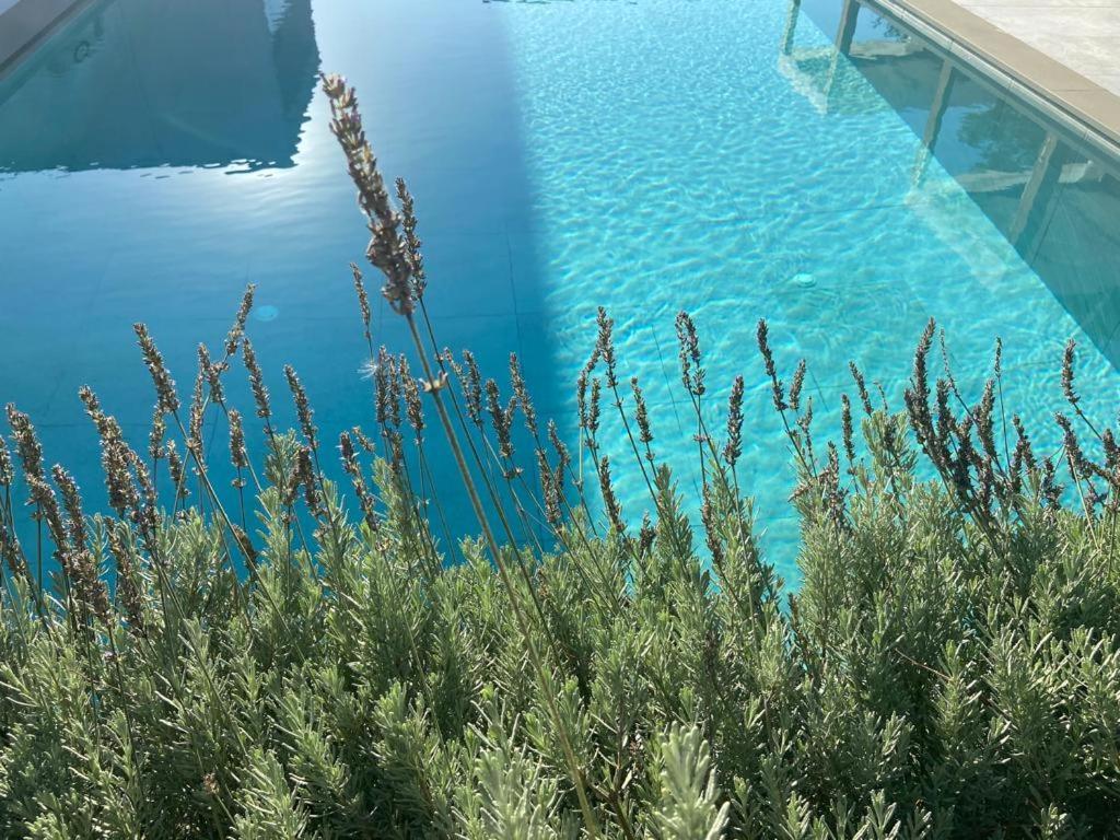 Rosemarine Villas Durres Luaran gambar